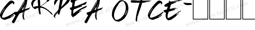 Cardea OTCE字体转换